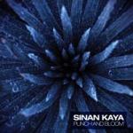 Sinan Kaya – Punch and Bloom